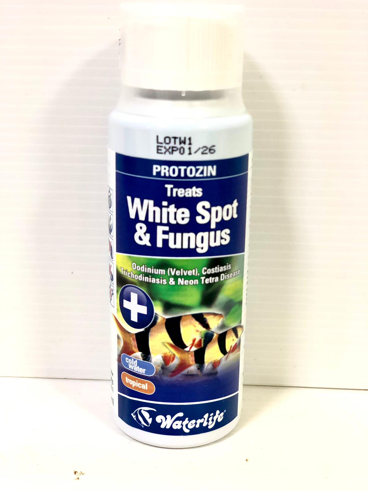 Waterlife Protozin White Spot & Fungus 250ml
