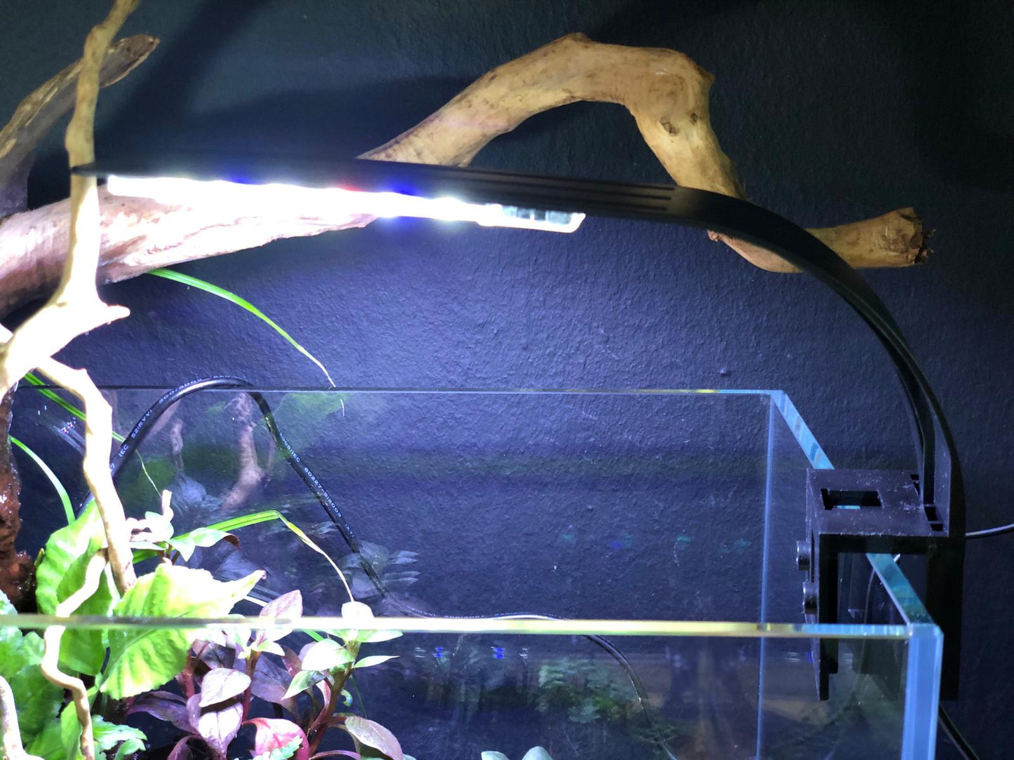 PF Lux C+ Mini Aquarium Clip Led Lamp (30cm)