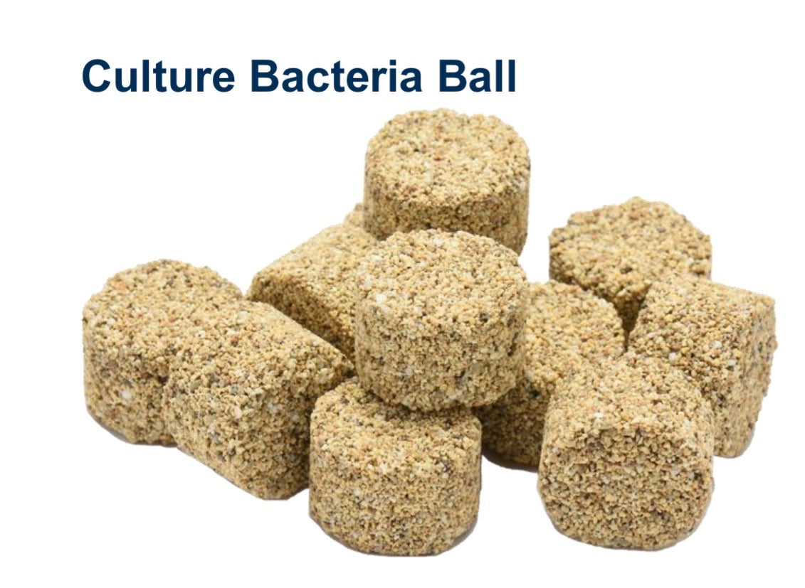 JBJ Culture Bacteria Ball (M size) 1.5L
