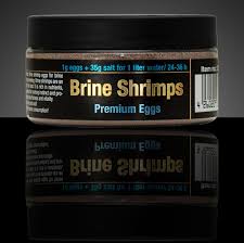 DISCUSFOOD Brine Shrimps Premium Eggs
